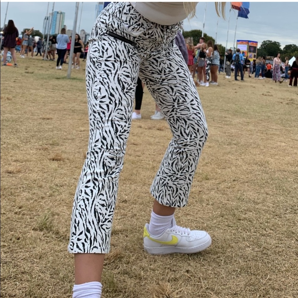 Zebra Pants - image 1
